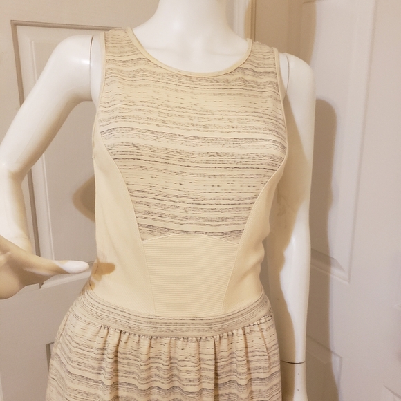 Tart size XS - Picture 3 of 8